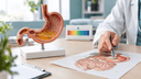 Modèle anatomique en coupe d'un estomac humain sur un bureau, près de la main d'un médecin désignant une planche digestive.