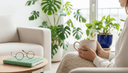 Gros plan de mains autour d'une tasse posée sur un plaid, un carnet de santé à côté