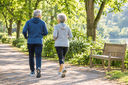 Couple de seniors actifs marchant de dos sur un sentier de parc arboré dans la lumière douce du matin