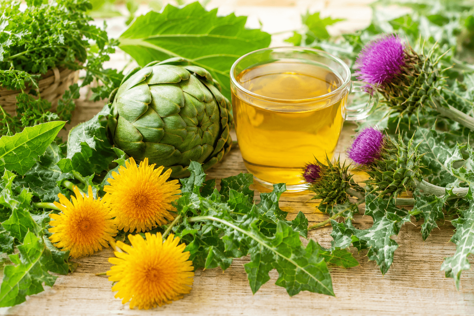 Plantes détoxifiantes : guide complet des draineurs naturels | ViziWell